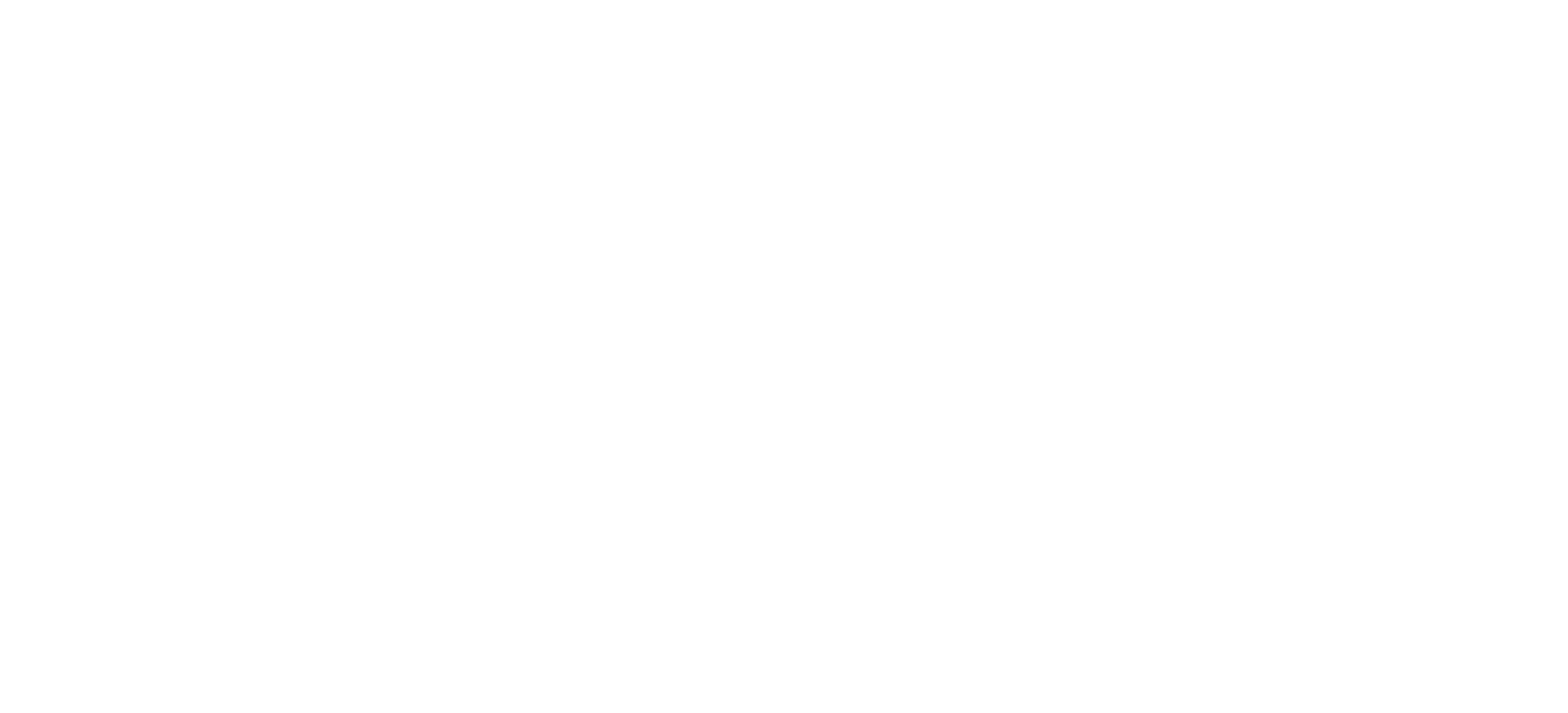 Pocklington District Scouts Logo