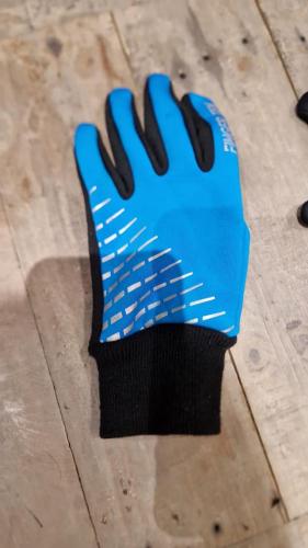 Blue Glove